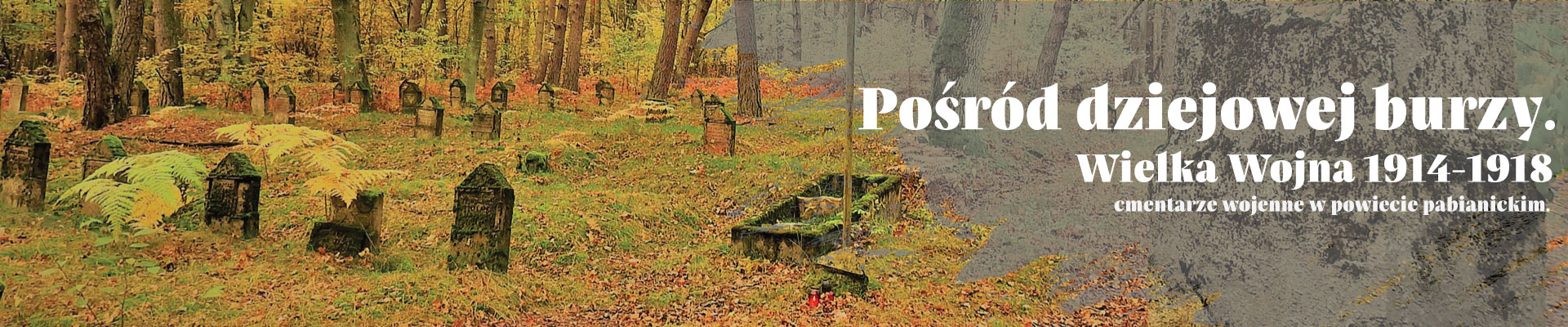 Towarzystwo Miłośników Dziejów Pabianic